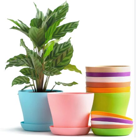 plastic pots