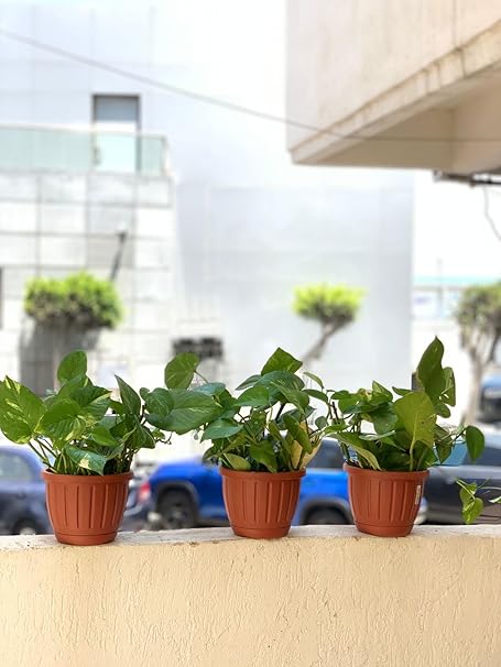 ورق 2