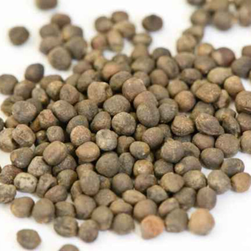 9999999999999999 (1)