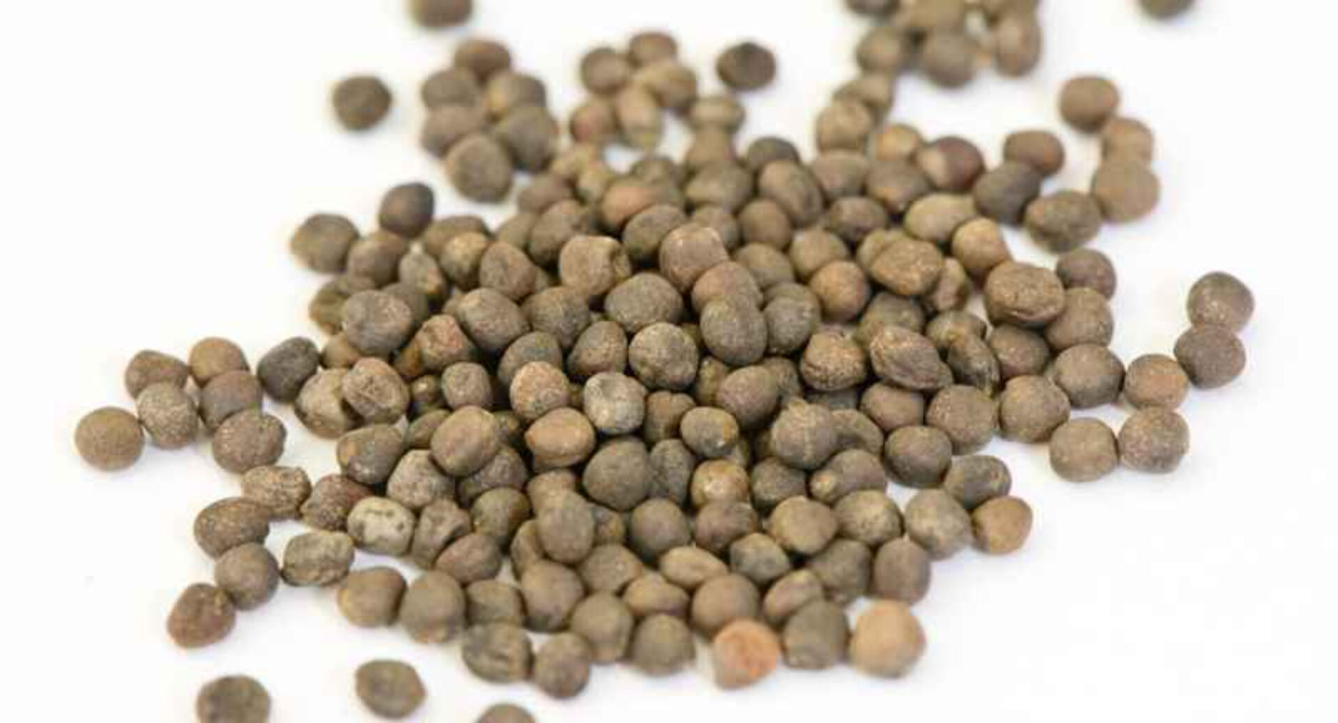 9999999999999999 (1)