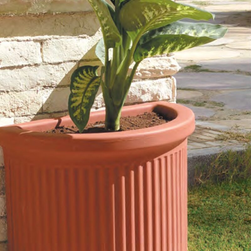 العصر الرومانى الكلاسيكى