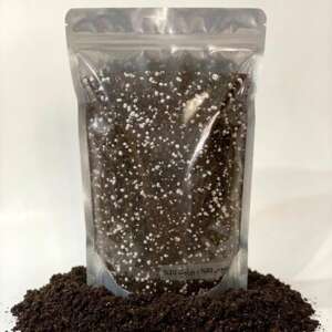 Soil mix for planting seedlings and planting: Peat moss 80%, perlite 20%, 5 liters