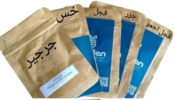 Fresh Vegetable Seeds Set Lettuce – Arugula – Radish – Red Radish – Carrot