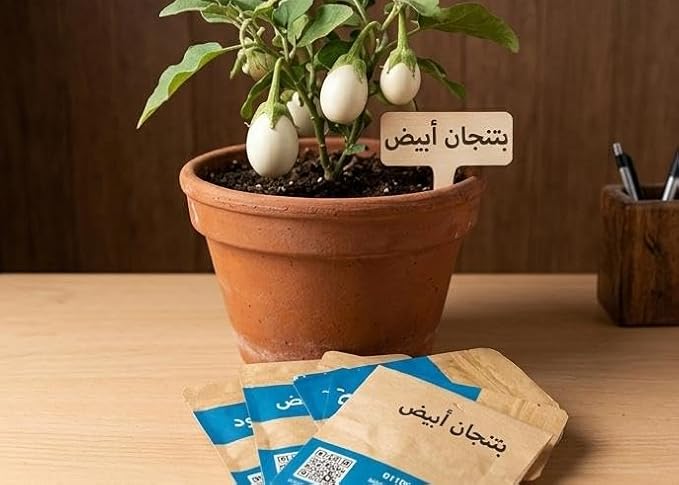 Bazanjan Family Seeds Kit (Black - White - Cup)