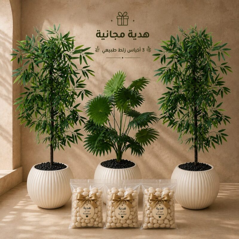 Green Home Collection