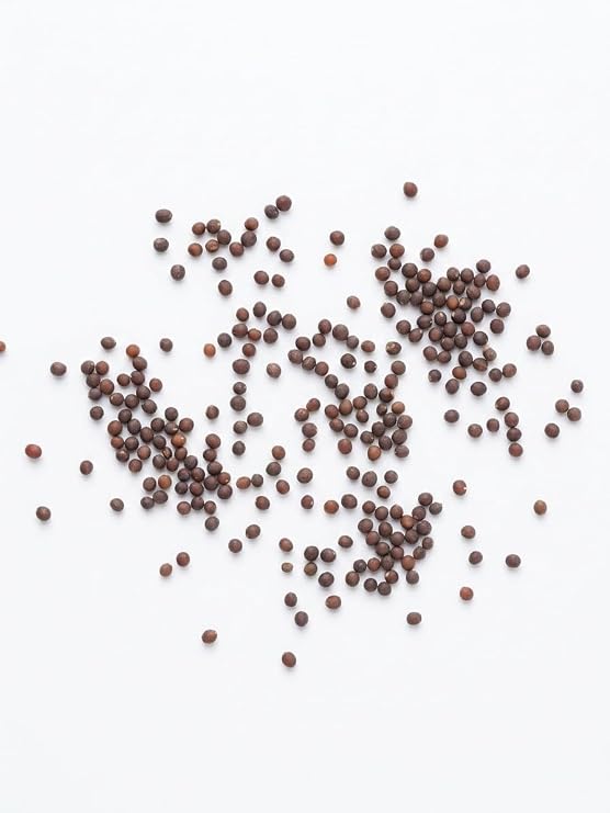 Broccoli seeds