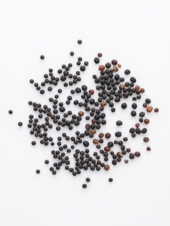 Wanka Seeds